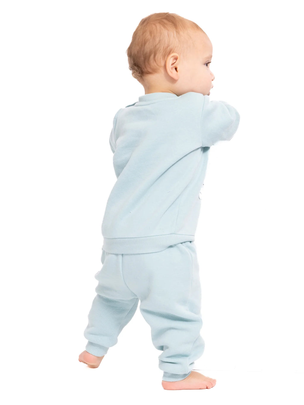 Baby Boys or Girls Crewneck Sweatshirt and Joggers Set, 2-Piece, Sizes 0/3M-24M