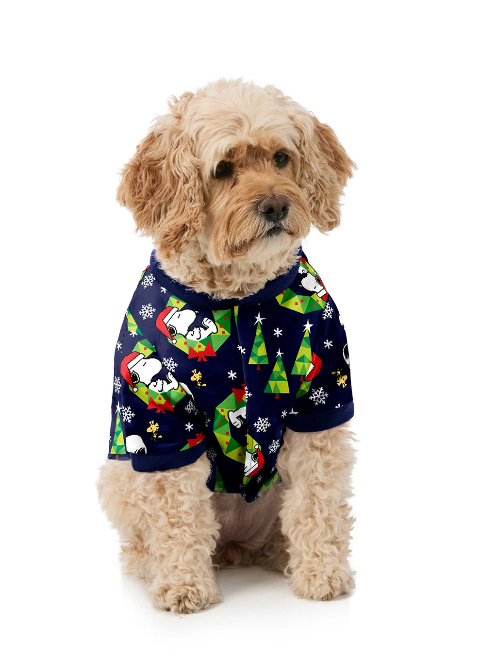 Snoopy Pet Matching Family Pajamas, 1-Piece, Sizes XS-2XL