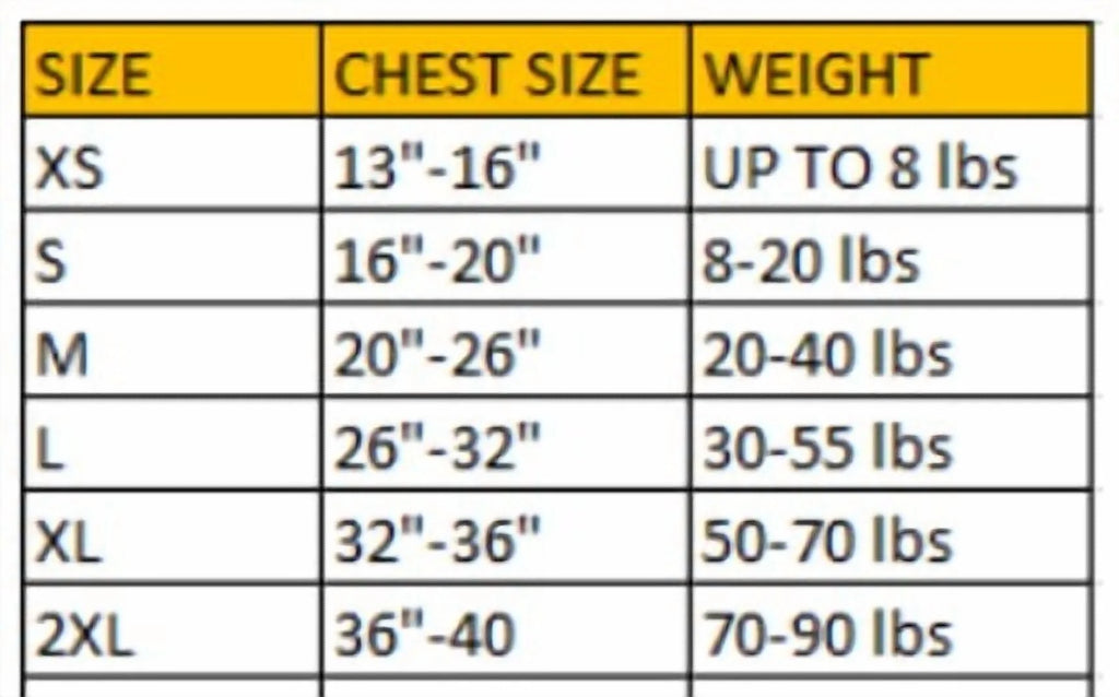 Snoopy Pet Matching Family Pajamas, 1-Piece, Sizes XS-2XL